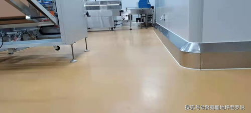 如何選擇適合食品廠凈化車間的地坪漆 客聰?shù)仄? />
</a>
<span><a href=