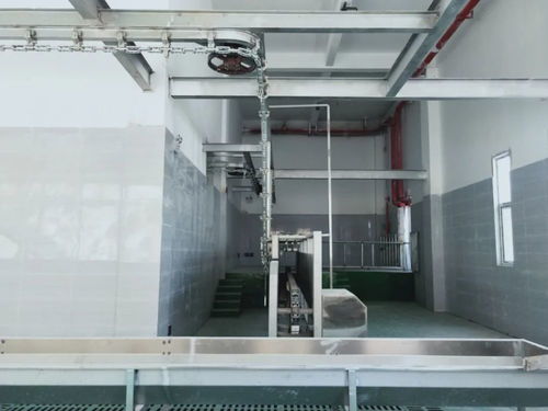 這個a級畜禽屠宰加工廠即將投產 產品將銷往全國各地
